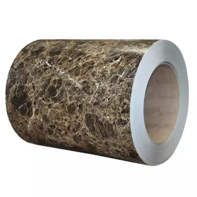 La couleur de PPGI DX51D a enduit la bobine en acier DX55D pour le plat de conteneur